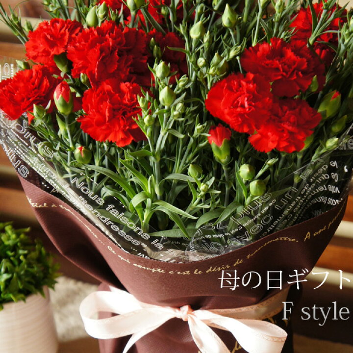 楽天市場 母の日 プレゼント 花 カーネーション 鉢花 22 送料無料 お母さんありがとう 赤 ピンク色から選べるカーネーション５号鉢 フラワーギフト 母の日 ギフト 鉢植え 鉢 花鉢 カーネーション花鉢 信州安曇野の花専門店ｆｓｔｙｌｅ