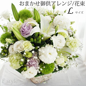 ԁ@zCg p[v   @v ݂̉ 䋟 MB ܖ   ]  AWg  AW    @  摜zM 䋟AW