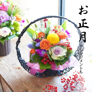  Mtg  v[g  t[AWg`aAW a؁`AWg a  a  AW ŒZ͂ Birthday Mtg a a AW a ސEj