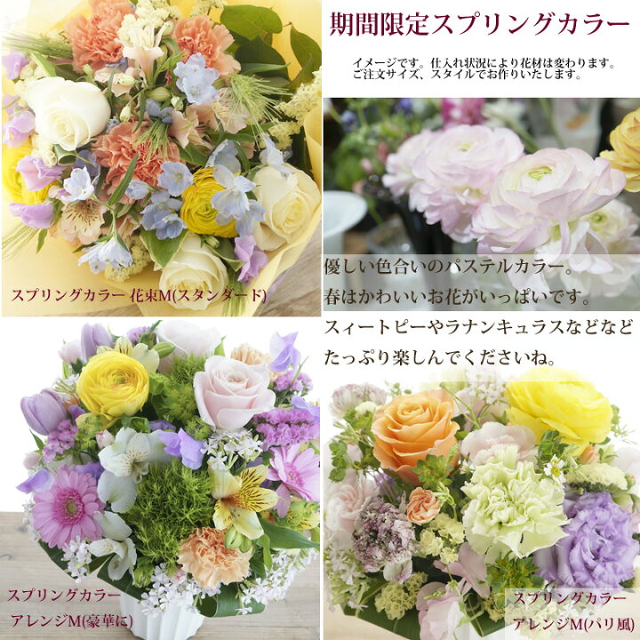 楽天市場 花 ギフト あす楽 誕生日 花 選べる8色 フラワーギフト 季節の花を使ったお任せ 花束 または アレンジ M ギフト 花 プレゼント 退職祝い 女性 男性 結婚記念日 開店祝い バラ おしゃれ 送料無料 安曇野 エフスタイル F Style 月間優良ショップ ホワイトデー
