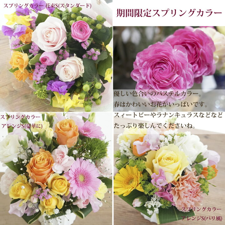 楽天市場 月間優良ショップ受賞 楽天１位 送料無料 選べる8色 季節の花を使ったお任せ 花束 または アレンジメント Sサイズ 花 ギフト プレゼント 誕生日プレゼント 退職祝い 送別会 お祝い 結婚記念日 花 アレンジメント フラワーアレンジメント ホワイトデー
