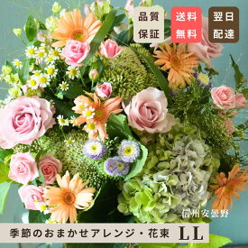 最短翌日届け 秋色 送別会 開店 ギフト 秋の花 信州 安曇野 誕生日 花 ギフト オーダーメイド フラワーアレンジメント 花束 LLサイズ 誕生日プレゼント 女性 男性 退職祝い 褒章 御祝 結婚祝い 結婚記念 送料無料 お祝い 花束 クリスマス Xmas 正月花 正月アレンジ