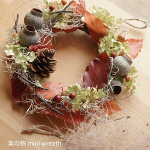 [X  I[V[Y CeA G ֏ hCt[ i`[X ~jTCY  킢 蕨 wreath   hCt[ Rbg ppXOX ؂