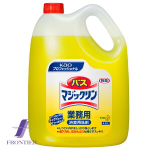 ԉvtFbVi oX}WbN Ɩp lߑւp 4.5bg