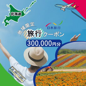 【ふるさと納税】地域限定旅行クーポン300,000円分 日本旅行 トラベルクーポン 納税チケット 旅行 宿泊券 ホテル 観光 旅行 旅行券 交通費 体験 宿泊 夏休み 冬休み 家族旅行 ひとり旅 カップル 夫婦 親子 北海道旅行 F6S-144