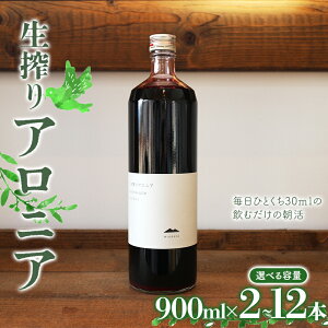 yӂ邳Ɣ[ŁzsIׂeʁtAjA900ml s2{ / 4{ / 6{ / 12{t k̃nCO[hHi2024 {Mtg2024kC F6S-179var