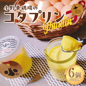 【ふるさと納税】 コタプリン6個入(化粧箱入) 北のハイグレード食品2024 F6S-234