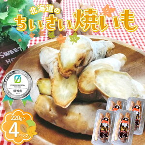 yӂ邳Ɣ[Łz kĈĂ×4pbN HikC×[J[{A[h2024܁ F6S-395