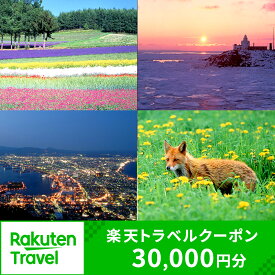 【ふるさと納税】北海道の対象施設で使える楽天トラベルクーポン 寄付額100,000円