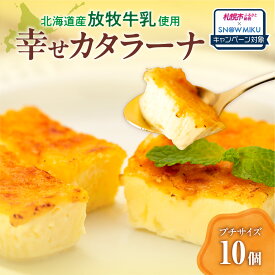 【ふるさと納税】 《雪ミクコラボ開催中!!》 Ranking 1位★ カタラーナ 【 選べる 種類 発送月 】10個 高評価 北海道産 放牧牛乳 プレーン プチサイズ なめらか カスタード カラメル 洋菓子 デザート スイーツ アイスデザート 冷凍 お取り寄せ 北海道 札幌市