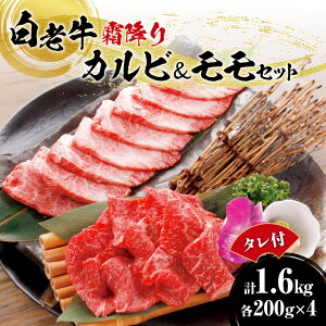 yӂ邳Ɣ[Łz V Jr   e800g v1.6kg t Y a A5/A4N ~  Ԑg  ē ē̂ Zbg Ⓚ ēX  kC Dys