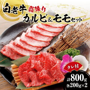 yӂ邳Ɣ[Łz V Jr   e400g v800g t Y a A5/A4N ~  Ԑg  ē ē̂ Zbg Ⓚ ēX  kC Dys