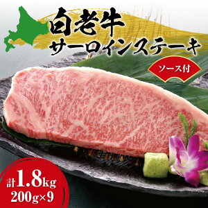 yӂ邳Ɣ[Łz V T[C Xe[L 200g×9 v1.8kg 唻 Xe[Lp \[Xt Y a uh A5 A4N  Xe[L Xe[L\[X  Ⓚ ēX  kC 