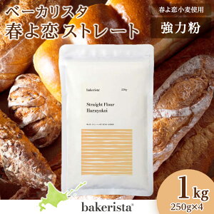 yӂ邳Ɣ[Łz ͕ kCY  100 1kg 250g×4 pp  p t Y ͏ pޗ tXg[g z[x[J[ p َqp kC Dys