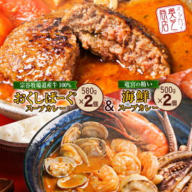 【ふるさと納税】 奥芝商店 スープカレー セット 専門店の味 2個×2種 竜宮の賄い 海鮮 宗谷牧場道産 100％ おくしばーぐ カレー シーフード ハンバーグ 詰め合わせ 食べ比べ パウチ グルメ ご当地 お取り寄せ レトルト 人気 冷凍 ギフト 贈答 贈り物 北海道 札幌市