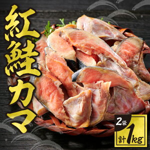 yӂ邳Ɣ[Łz g J} 1kg  VP TP   󏭕 CN CY  Ă ɂ  Ⓚ ^pbN kC Dys