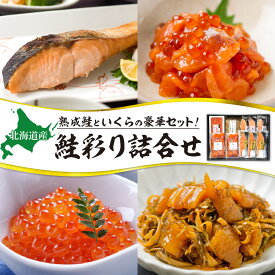 【ふるさと納税】 鮭乃丸亀 北海道産の熟成鮭といくらの豪華セット！ 鮭彩り詰合せ