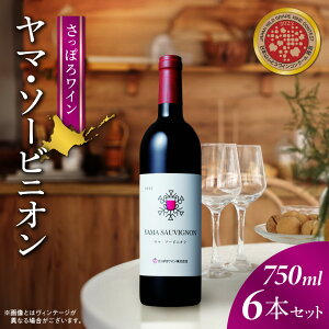 yӂ邳Ɣ[Łz ۂ냏C  C 750ml 6{ }E\[rjI ԃC ~fBA h AR[x10.5 LO a Mtg v[g   j kC 