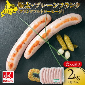 yӂ邳Ɣ[Łz tNtg \[Z[W 1kg×2pbN 16{ Dyd ɑ v[tN 傫   ύݗ BBQ zbghbO ECi[  ܂ 