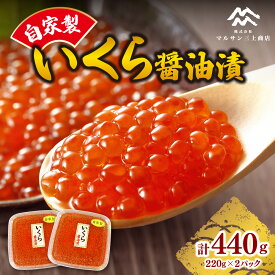 【ふるさと納税】 自家製 いくら 醤油漬 220g×2 小分け パック 440g 新鮮 イクラ 魚卵 ikura 水産 冷凍 海鮮 甘口仕上げ お取り寄せ 食品 札幌 北海道 ふるさと納税