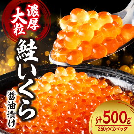 【ふるさと納税】 濃厚 大粒 いくら 500g 鮭いくら 醤油漬け （250g×2） 2パック 小分け 魚卵 イクラ ikura おすすめ お取り寄せ グルメ お祝い 水産 海鮮 冷凍 おつまみ おかず 北海道 札幌市