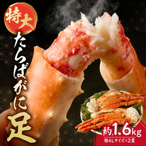 yӂ邳Ɣ[Łz  ΊI 800g×2{ v1.6kg 4LTCY I ^oKj ΂ I ▭  {[ I ՂՂ H W[V[ Ö CN  C̍K Ⓚ Jj k