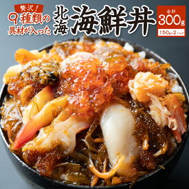 【ふるさと納税】9種類の具材が入った！北海海鮮丼300g（150g×2個）