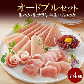 【ふるさと納税】 生ハム 4種 オードブル セット 生ハム サラミ ユッケ 豚肉 ブロック スライス 燻製 おつまみ パーティー 冷凍 ギフト バルナバハム バルナバフーズ 北海道 札幌市