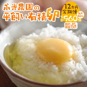 yӂ邳Ɣ[Łz  12 ܂ y Iׂ  z  20 30 40 80  ʎq ^}S {   L VN S g Â H  TKG XC[c pP[L v
