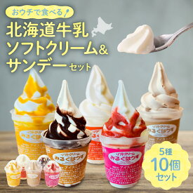 【ふるさと納税】 おウチで食べる 北海道 ソフトクリーム＆サンデーセット （5種類×2の10個セット） 北海道 札幌市