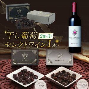 �y�ӂ邳�Ɣ[�Łz ���S���Y�� �����Ԃǂ� 2�� �e3�� �D�y�Y ���C�� 1�{ �Z�b�g ���}�E�\�[�r�j�I�� �ԃ��C�� �H�ה�� �������� ���H �i�C�A�K�� �u�h�E ���[�Y�� �h���C�t���[�c �Ԃǂ� ����