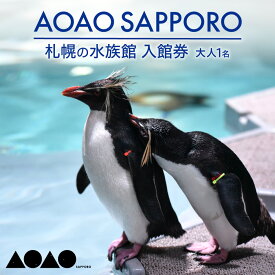 【ふるさと納税】 入館券 AOAO SAPPORO 大人1名分 都市型 水族館 駅直結 屋内施設 新定番 スポット ナイト営業 チケット 券 利用券 旅行 観光 トラベル 家族 友人 夫婦 恋人 親子 デート 北海道 札幌市