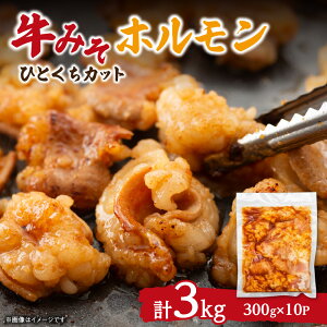 yӂ邳Ɣ[Łz ݂z 300g×10pbN v3kg TCY Hׂ₷  z V}`E t X z ē BBQ ܂  Ⓚ kC Dys