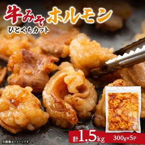 yӂ邳Ɣ[Łz ݂z 300g×5pbN v1.5kg TCY Hׂ₷  z V}`E t X z ē BBQ ܂  Ⓚ kC Dys