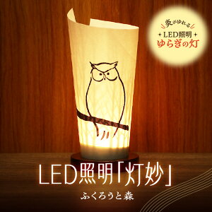 yӂ邳Ɣ[Łz Cg  LEDƖ ӂ낤ƐX {×̐C 炬̓  邳ZT[t p USBd { LED Ɩ v VF[h CeA G pi H