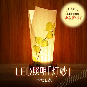 yӂ邳Ɣ[Łz Cg  LEDƖ ƐX {×̐C 炬̓  邳ZT[t p USBd { LED Ɩ v VF[h CeA G pi H|i