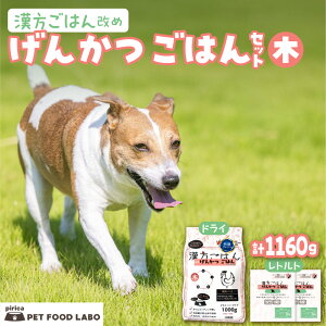 【ふるさと納税】 ペットフード 犬 げんかつごはん 【 選べる 容量 】 漢方ごはん 木 ドライタイプ レトルト 計480g 計1160g セット 愛犬用 ノンオイルコーティング 鶏 食養生 薬膳 総合栄養食