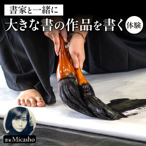 yӂ邳Ɣ[Łz  ̌ `Pbg  Micasho dq`Pbg eq̌\ i A 傫  A[g p |p { kC Dys