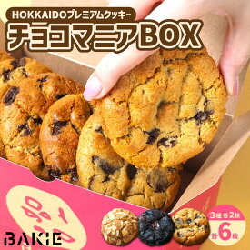 【ふるさと納税】 クッキー チョコ 3種×2枚 計6枚 セット 北海道産 チョコチップ リッチブラック ヌテラ チョコレート スイーツ お菓子 焼菓子 詰め合わせ ギフト 北海道 札幌市