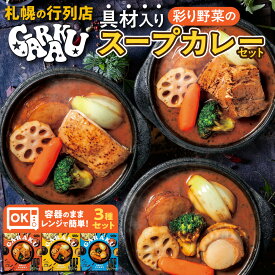 【ふるさと納税】 GARAKU スープカレー セット 各300g 3種 彩り野菜 スープ カレー チキン 北海道産 ホタテ 自家製 豚角煮 和風だし 秘伝スパイス 行列 人気店 お取り寄せ ご当地 グルメ 時短 冷凍 レトルト レンジアップタイプ レンチン 簡単調理 北海道 札幌市