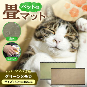 yӂ邳Ɣ[Łz  }bg ybg y Iׂ  z 50cm×100cm o[Vu J[ ubN zCg O[ J sN u[  ȒP @ ܉  ɂ L