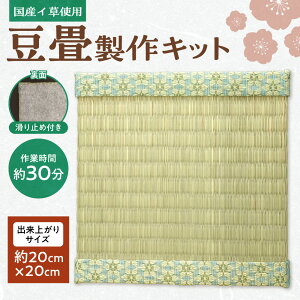 yӂ邳Ɣ[Łz  Lbg oオTCY 20cm×20cm ~j  Ǝ 30 t  R Y C  ~ߕt kC Dys