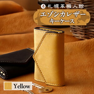 yӂ邳Ɣ[Łz DyvEl 6A L[P[X y Iׂ J[ z5F G]VJU[ ڈΎU[ ubN O[ AeB[NuE CG[ XJCu[  F DF P[X 