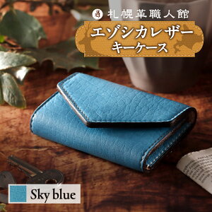 yӂ邳Ɣ[Łz DyvEl 6A L[P[X y Iׂ J[ z5F G]VJU[ ڈΎU[ ubN O[ AeB[NuE CG[ XJCu[  F DF P[X 