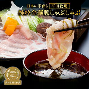 【ふるさと納税】 純粋金華豚 豚しゃぶ ロース 肩ロース だし セット 150g×各2 計600g しゃぶしゃぶ 豚ロース 豚肩ロース 霜降り 国産 豚肉 肉 高級食材 高級肉 鍋 とびうおだし きざみ昆布 出
