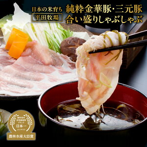 【ふるさと納税】 純粋金華豚 三元豚 合い盛り 豚しゃぶ ロース バラ 計700g しゃぶしゃぶ 豚ロース 豚バラ 霜降り 国産 豚肉 高級肉 高級食材 鍋 とびうおだし きざみ昆布 出汁つき 日本の米