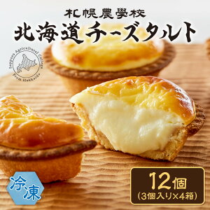 yӂ邳Ɣ[Łz Dy_wZ `[Y^g y Iׂ  z 3 6 12 kCY N[`[Y `[Y ^g `[Y[X }Ⓚ Ƃ낯 TNTN َq Ăَq َq XC[c