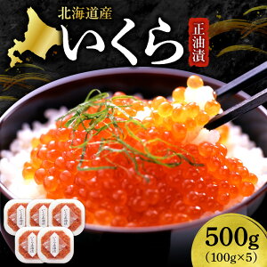 yӂ邳Ɣ[Łz kCY   y Iׂ e z 300g 400g 500g CN ikura t  TP VP H   CN  CN ܂  т̂ Ⓚ Y CY 