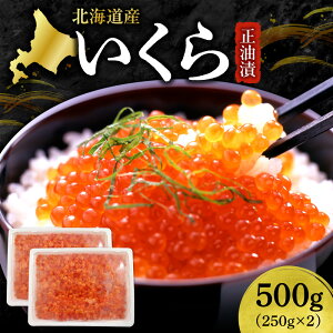 yӂ邳Ɣ[Łz kCY   y Iׂ e z 250g 500g CN ikura t  TP VP H   CN  CN ܂  т̂ Ⓚ Y CY 