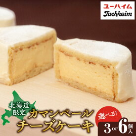【ふるさと納税】 カマンベールチーズケーキ 【 選べる 個数 】 3個入 6個入 直径6cm カマンベール チーズケーキ お取り寄せ スイーツ デザート ケーキ チーズクリーム お菓子 洋菓子 ギフト 贈答 冷凍 北海道 札幌市